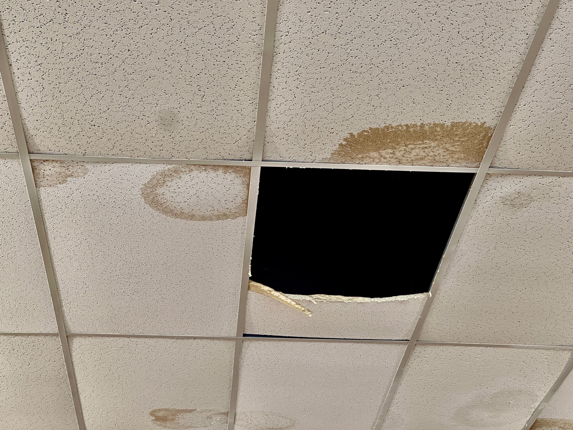 Ceiling Leak